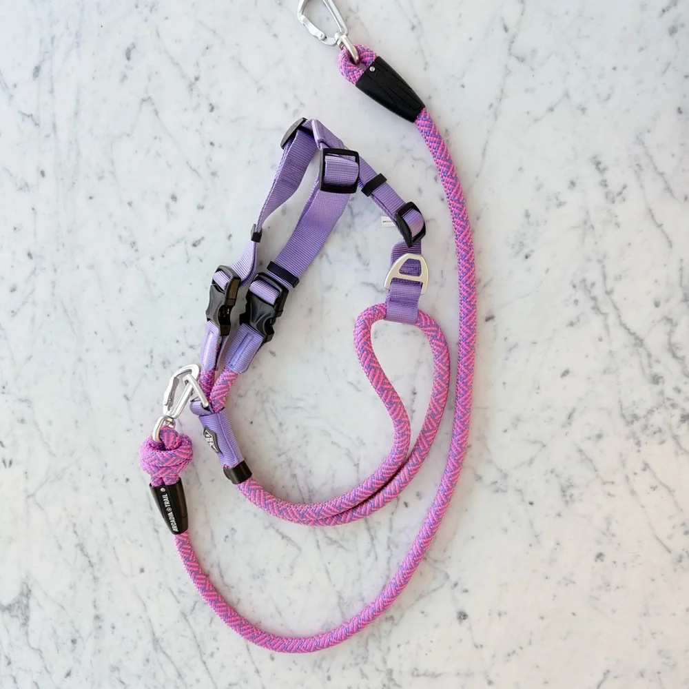 Arcadia Trail rope dog harness and leash in pink and purple